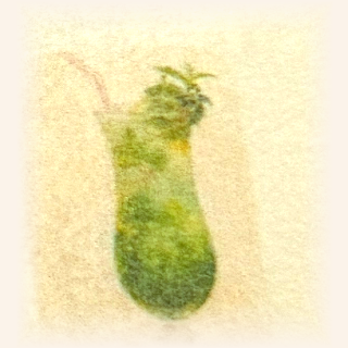 Mint mojito